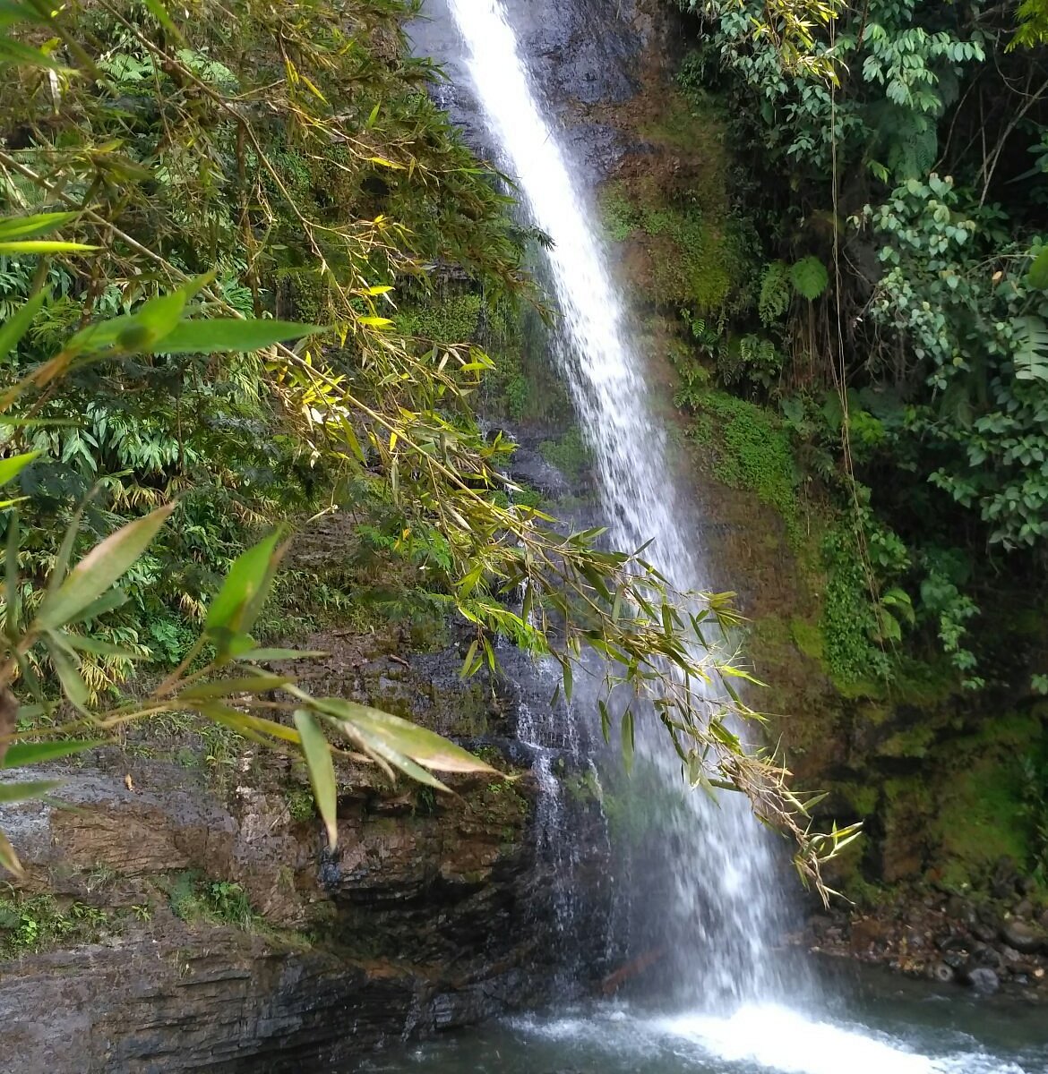 Waterfall in Pance jungle